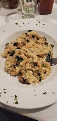 Fenicci's Of Hershey