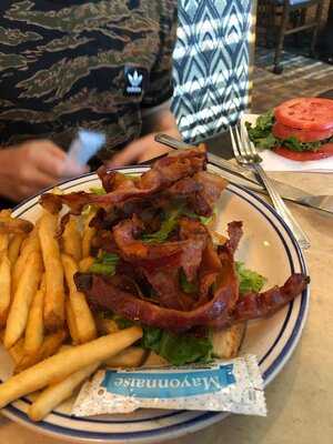 Gators Grill And Spirits