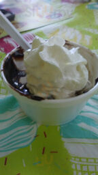 Vicky's Ice Cream