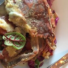 Surf House Oyster Bar & Surf Camp