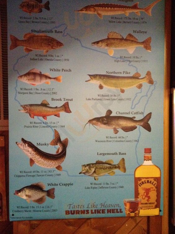 Moccasin Bar