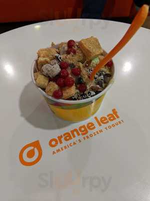 Orange Leaf Seekonk