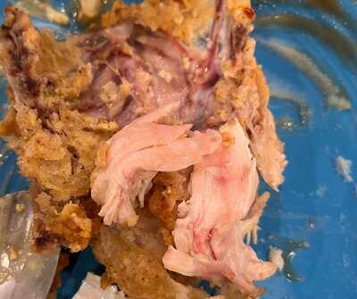 Kentucky Fried Chicken