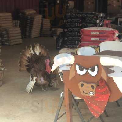 Three Chicks Feed, Seed And Cafe