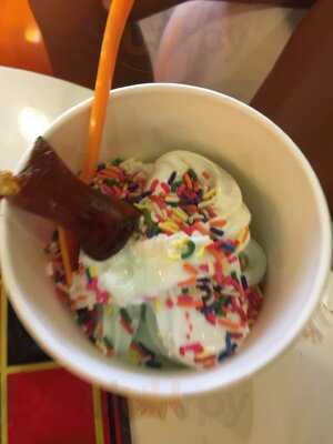 Orange Leaf Frozen Yogurt
