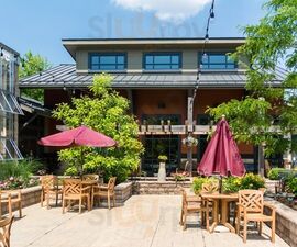 Orchid Cafe