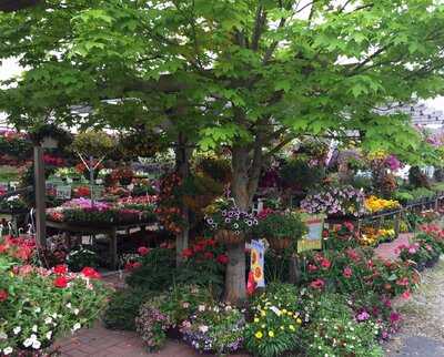 L E Huck & Sons Farm Market