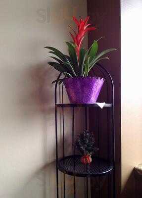 Foto 17648435