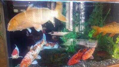 Foto 17768405