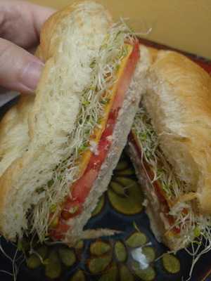 Red Rooster Coffee House