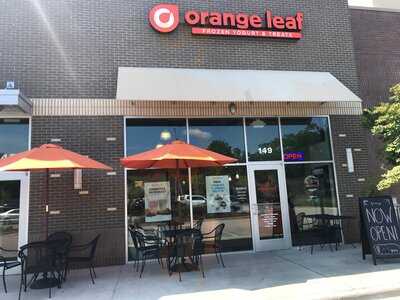 Orange Leaf Holly Springs
