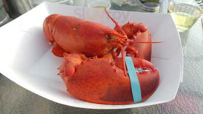 Lobster In The Rough