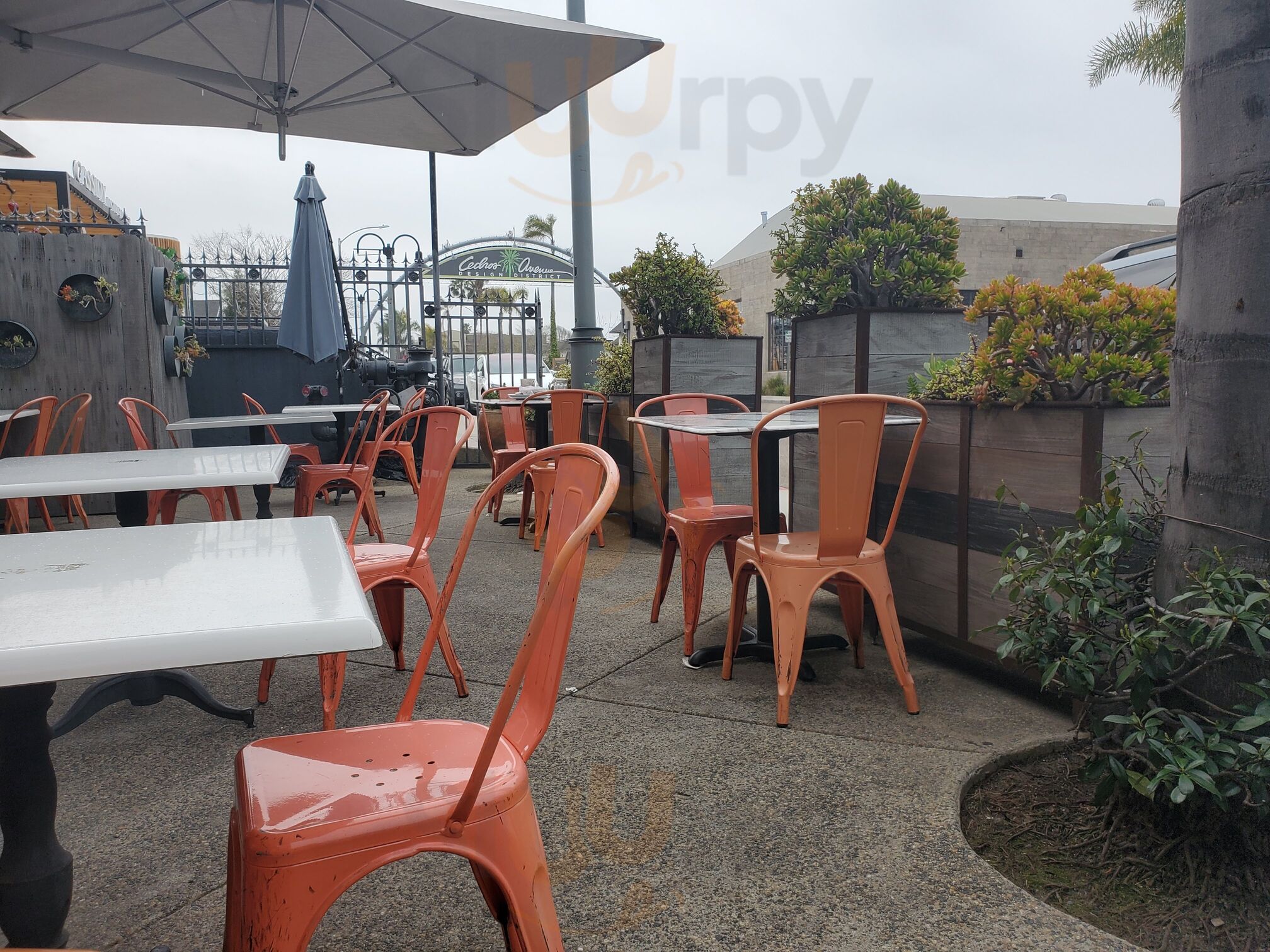 Madeline Cafe And Bakery Solana Beach Ca