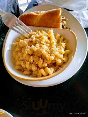 The Firepit Wood Fired