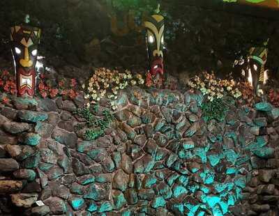 Lees Hawaiian Islander