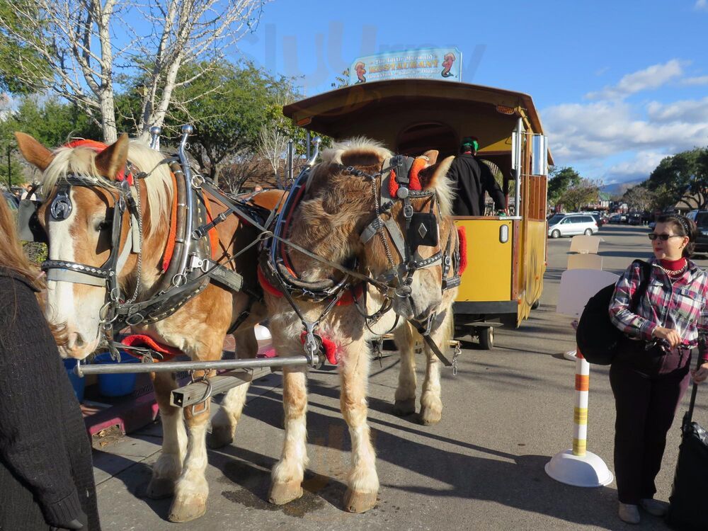 Rocky Mountain Chocolate Factory