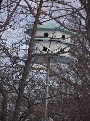 Seacoast Pizza And Pasta