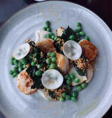 Elm Square Oyster Co.