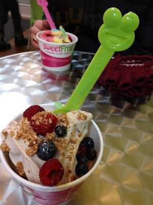 Sweet Frog Premium Frozen Yogurt