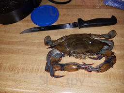 Captain Harry's Ridge Crab House