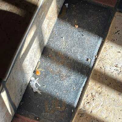 Glacier Rock Restaurant