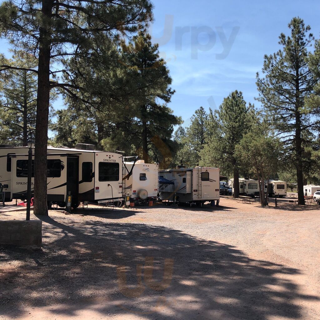 Bear Trax At Circle Pines Koa
