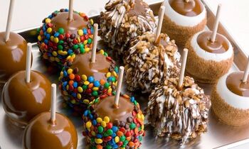 Rocky Mountain Chocolate Factory