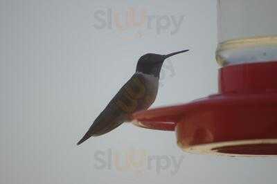 Kay's Country Kitchen