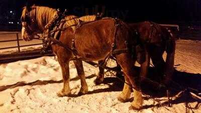 The Sleigh Ride Dinner At Lone Mountain Ranch