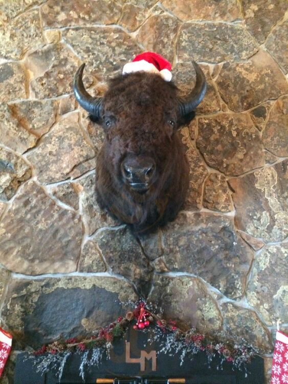 The Sleigh Ride Dinner At Lone Mountain Ranch