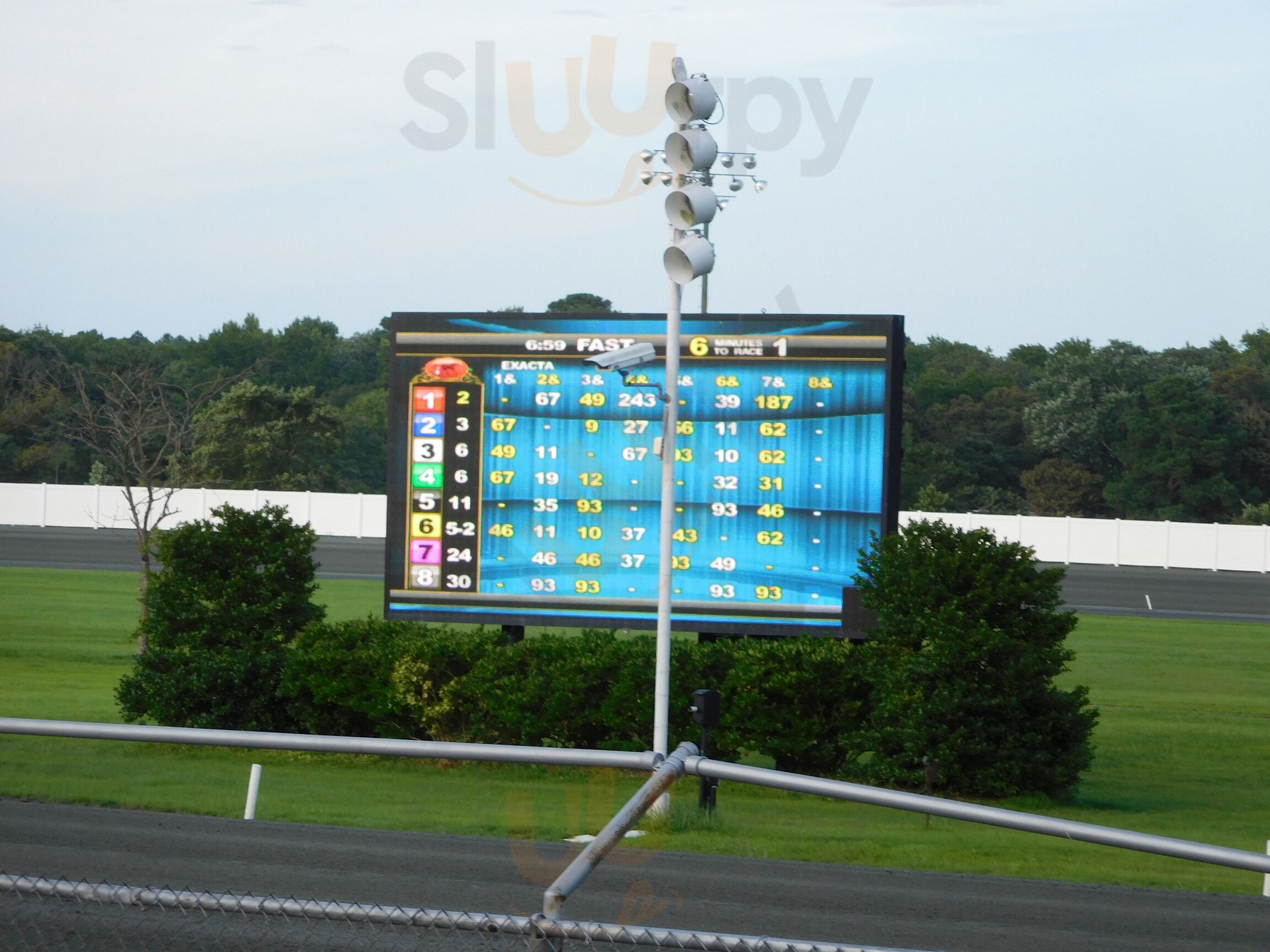 Pacers At Ocean Downs