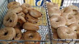 Essex Bagels