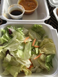 Sushi Runner Miami Lakes
