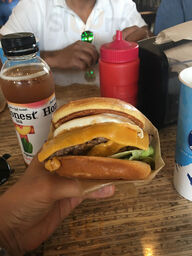 Elevation Burger