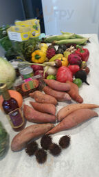 Sandy Seagull Corner Store