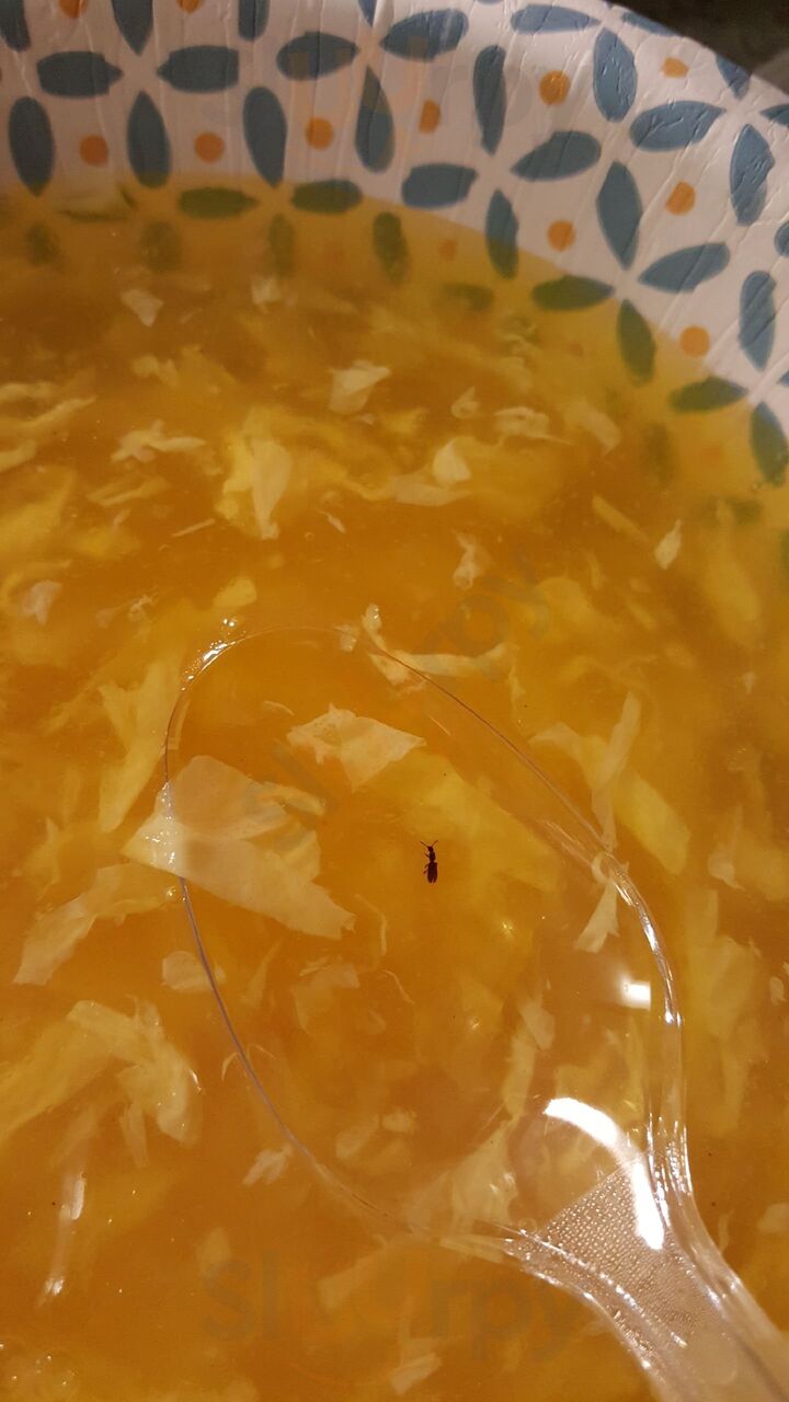 Jin Jin Gourmet Chinese Restaurant