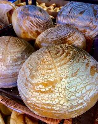 Fill A Bagel Jenkintown