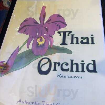 Thai Orchid