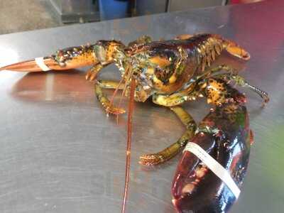 Markey's Lobster Pound