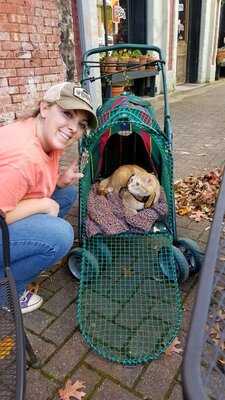 The Madison Produce Company