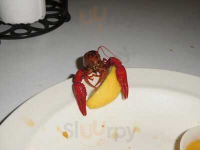 Cajun Crawfish Hut