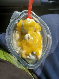 Dairy Queen (treat)