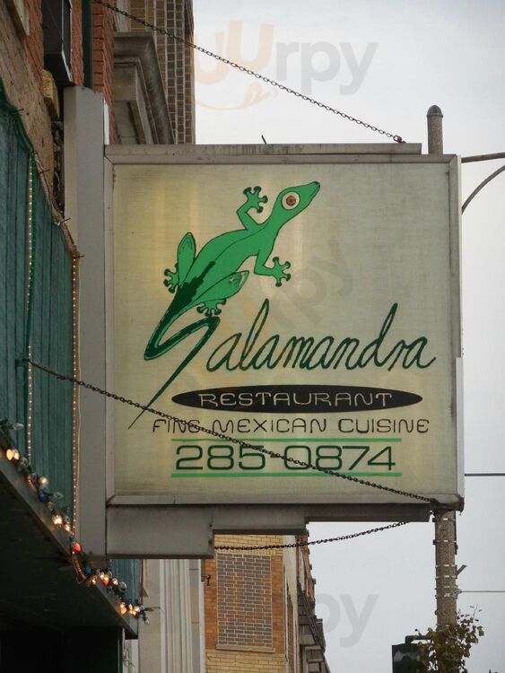 Salamandra Restaurant