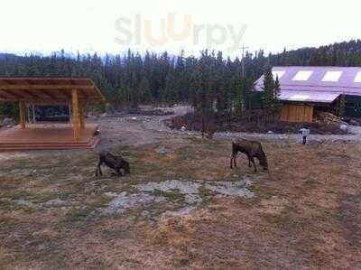 Artisan Cafe At Tonglen Lake