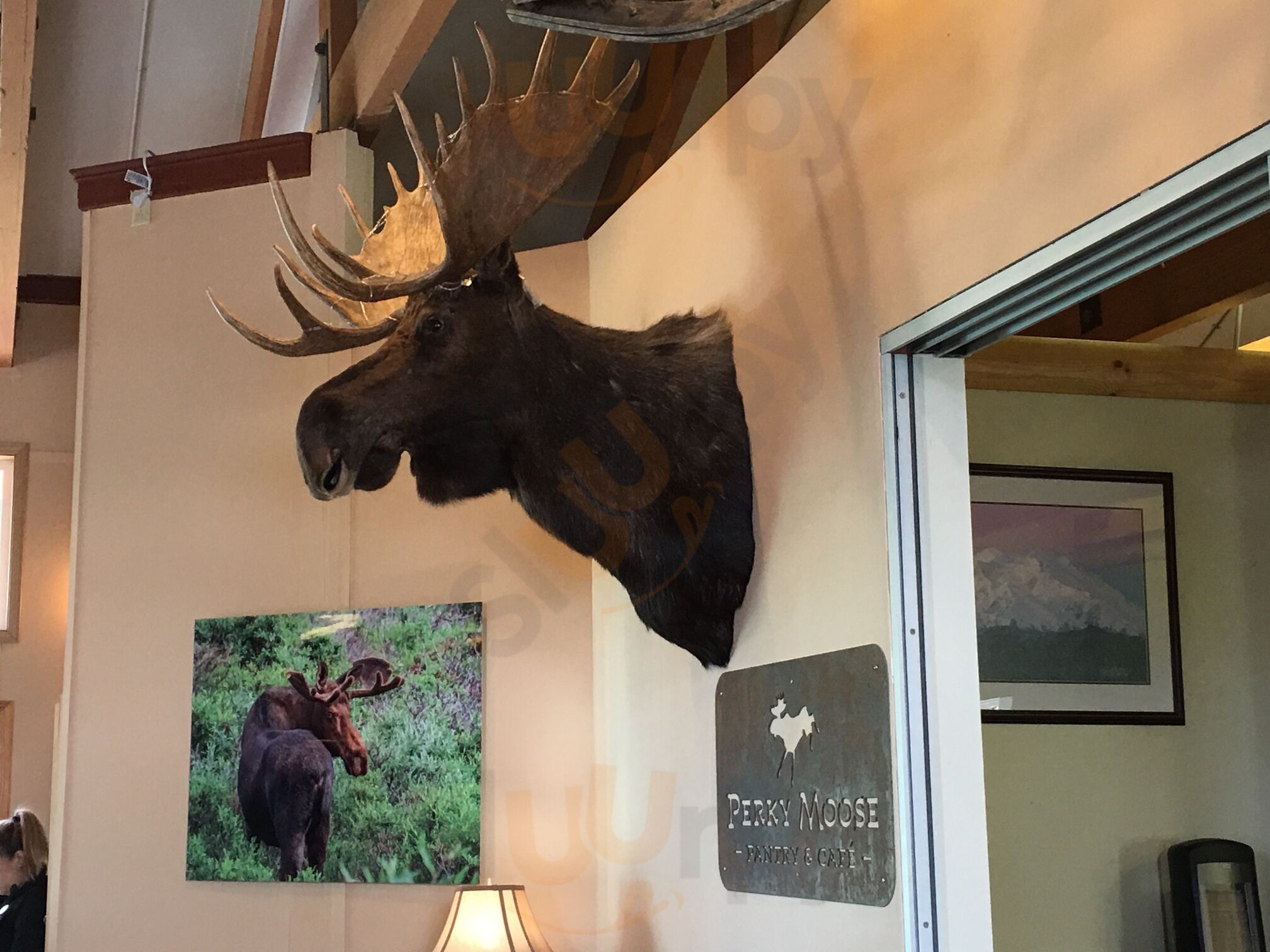 Perky Moose Pantry And Cafe