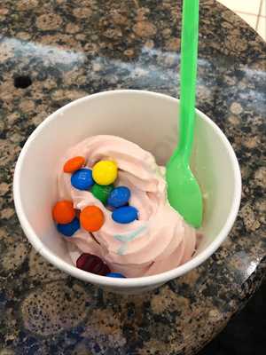 Tutti Frutti Frozent Yogurt At Auburn Mall