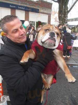 The Concord Cheese Shop