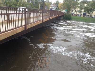 Froggy Bottoms River Pub & Lily Padio