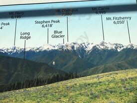 Hurricane Ridge Snack Bar
