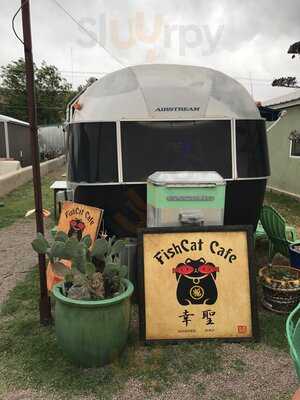 Fish Cat Cafe